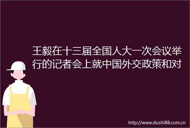 王毅在十三届全国人大一次会议举行的记者会上就外交政策和对外关系答中外记者问