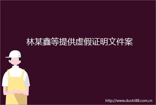 林某鑫等提供证明文件案