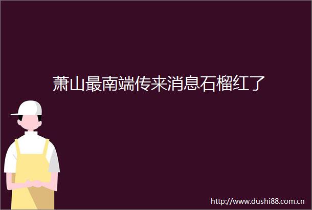 萧山最南端传来消息石榴红了