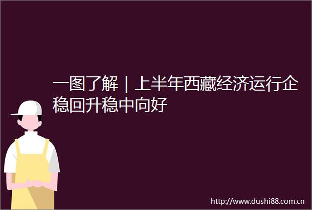 一图了解｜上半年西藏经济运行企稳回升稳中向好