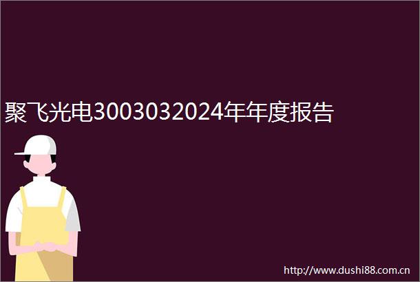 聚飞光电3003032024年年度报告