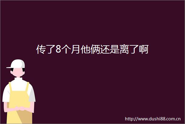 传了8个月他俩还是离了啊
