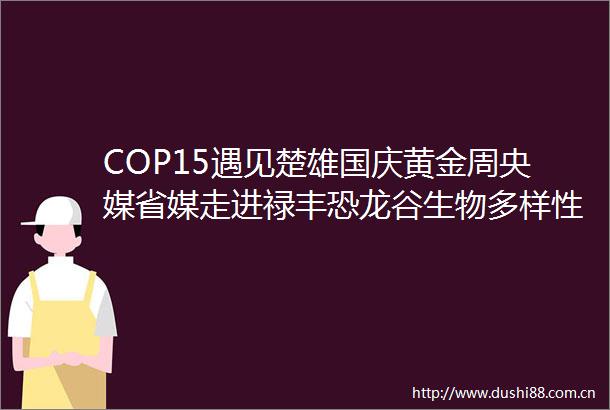 COP15遇见楚雄国庆黄金周央媒省媒走进禄丰恐龙谷生物多样性主题采访拉开帷幕