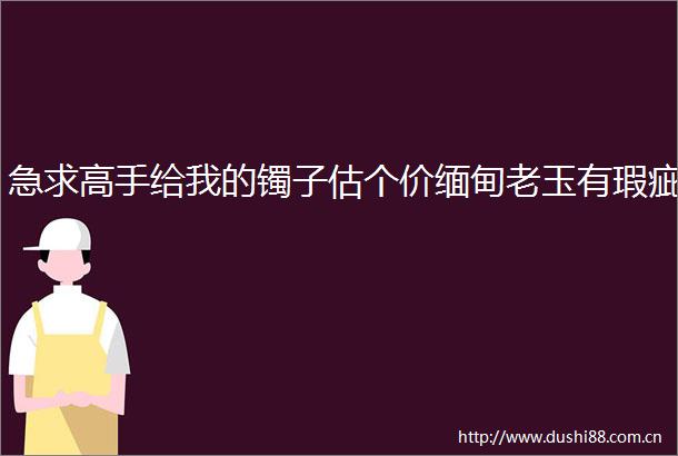 急求高手给我的镯子估个价缅甸老玉有瑕疵