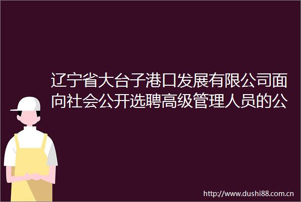 辽宁省大台子港口发展有限公司面向社会公开选聘高级管理人员的公告