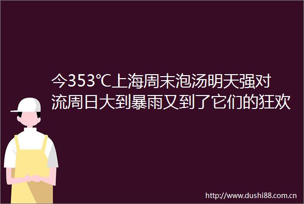 今353℃上海周末泡汤明天强对流周日大到暴雨又到了它们的狂欢节如何应对