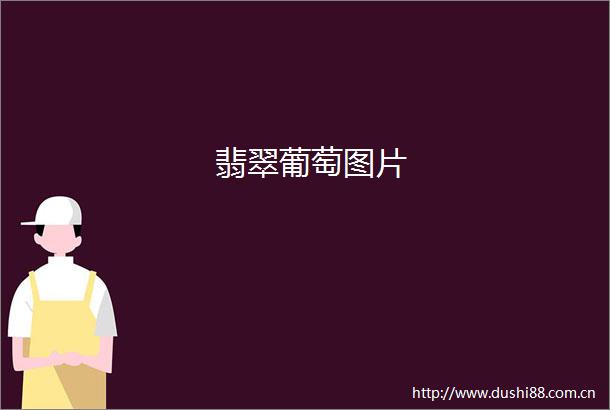 翡翠葡萄图片