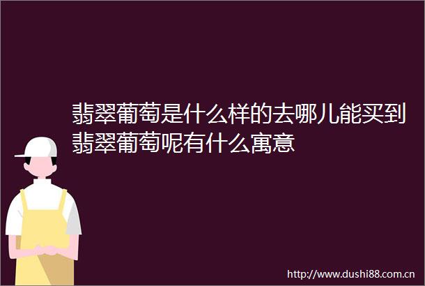 翡翠葡萄是什么样的去哪儿能买到翡翠葡萄呢有什么寓意
