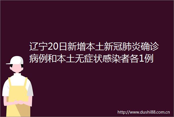 辽宁20日新增本土新冠肺炎确诊病例和本土无症状感染者各1例