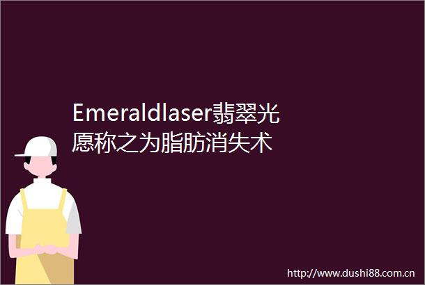 Emeraldlaser翡翠光愿称之为脂肪消失术