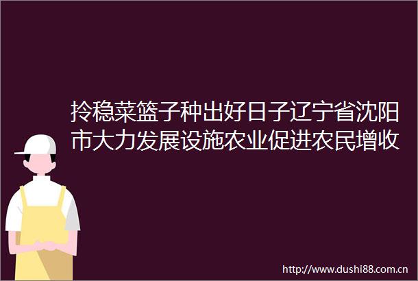 拎稳菜篮子种出好日子辽宁省沈阳市大力发展设施农业促进农民增收纪实