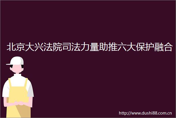 北京大兴司法力量助推六大保护融合
