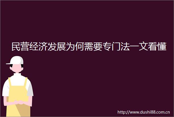 民营经济发展为何需要专门法一文看懂