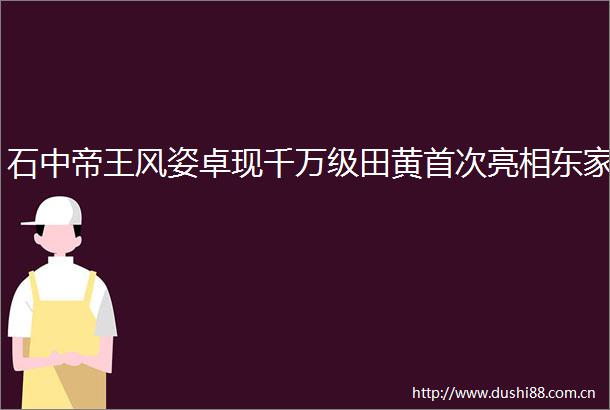 石中帝王风姿卓现千万级田黄首次亮相东家