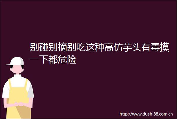 别碰别摘别吃这种芋头有毒摸一下都危险