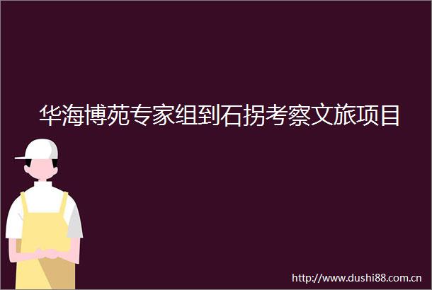 华海博苑专家组到石拐考察文旅项目