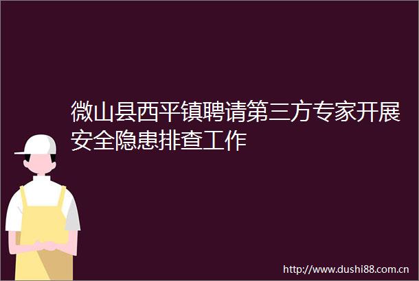 微山县西平镇聘请第三方专家开展安全隐患排查工作