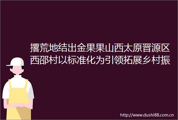 撂荒地结出金果果山西太原晋源区西邵村以标准化为引领拓展乡村振兴新路径