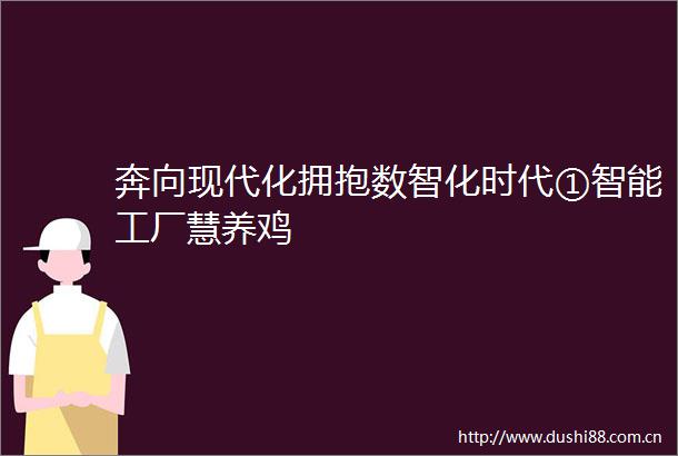 奔向现代化拥抱数智化时代①智能工厂慧养鸡