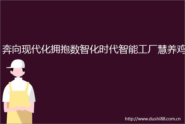 奔向现代化拥抱数智化时代智能工厂慧养鸡