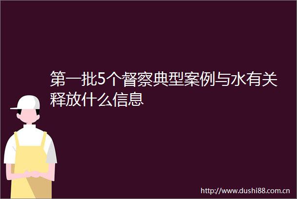第一批5个督察典型案例与水有关释放什么信息