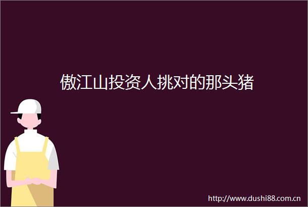 傲江山投资人挑对的那头猪