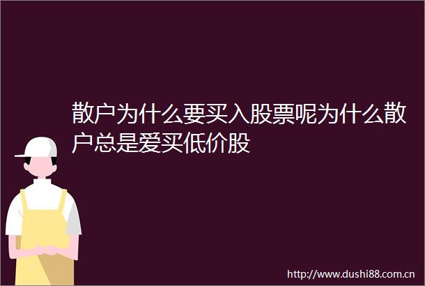 散户为什么要买入股票呢为什么散户总是爱买低价股