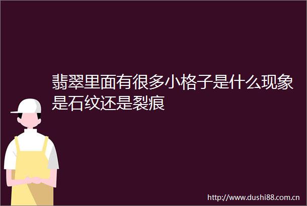 翡翠里面有很多小格子是什么现象是石纹还是裂痕
