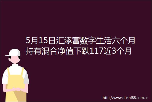 5月15日汇添富数字生活六个月持有混合净值下跌117近3个月累计下跌645