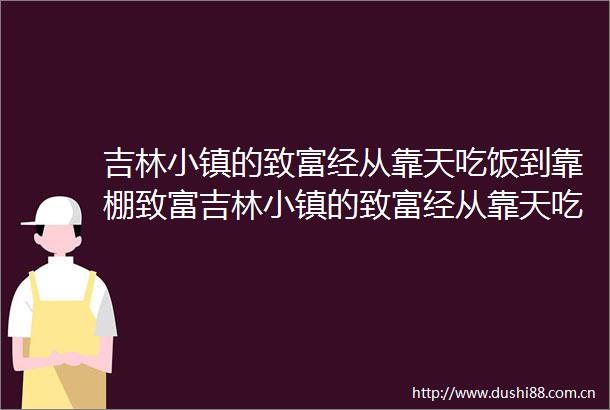 吉林小镇的致富经从靠天吃饭到靠棚致富吉林小镇的致富经从靠天吃饭到靠棚致富