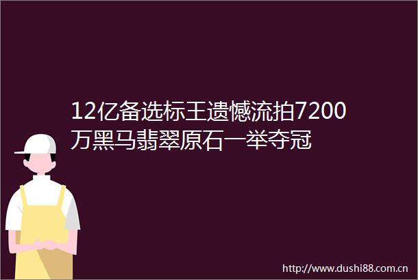 12亿备选标王遗憾流拍7200万黑马翡翠原石一举夺冠