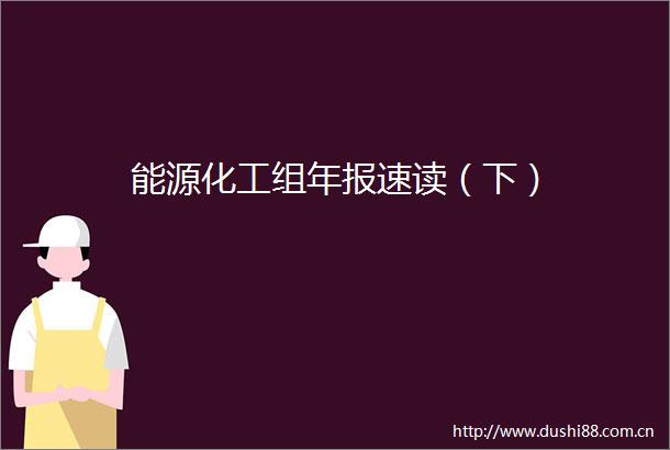 能源化工组年报速读（下）