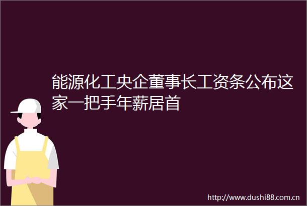 能源化工央企董事长工资条公布这家一把手年薪居首