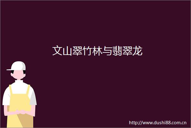 文山翠竹林与翡翠龙
