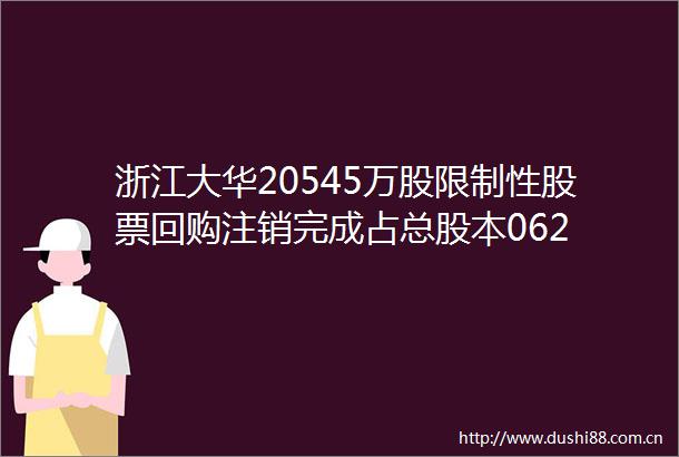 浙江大华20545万股限制性股票回购注销完成占总股本062