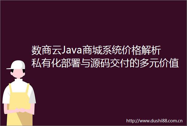 数商云Java商城系统价格解析私有化部署与源码交付的多元价值