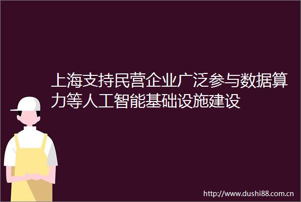 上海支持民营企业广泛参与数据算力等人工智能基础设施建设