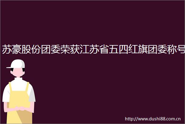 苏豪股份团委荣获江苏省五四红旗团委称号