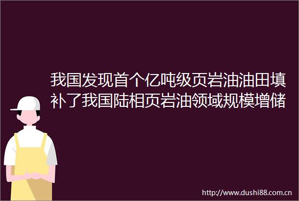 我国发现首个亿吨级页岩油油田填补了我国陆相页岩油领域规模增储空白