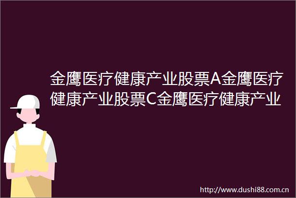 金鹰医疗健康产业股票A金鹰医疗健康产业股票C金鹰医疗健康产业股票型证券投资基金更新的招募说明书