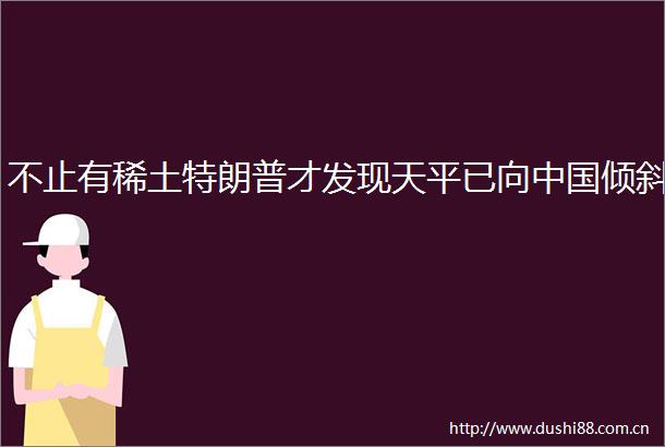 不止有稀土特朗普才发现天平已向倾斜