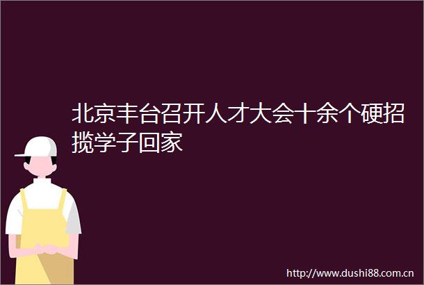 北京丰台召开人才大会十余个硬招揽学子回家