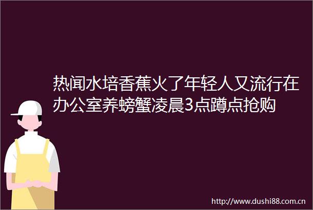 热闻水培香蕉火了年轻人又流行在办公室养螃蟹凌晨3点蹲点抢购