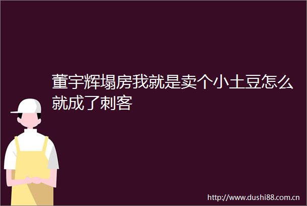 董宇辉塌房我就是卖个小土豆怎么就成了刺客