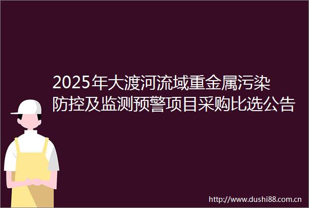 2025年大渡河流域重金属污染防控及监测预警项目采购比选公告