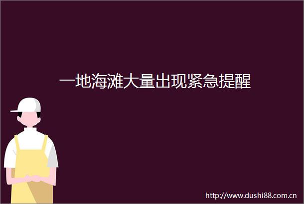 一地海滩大量出现紧急提醒