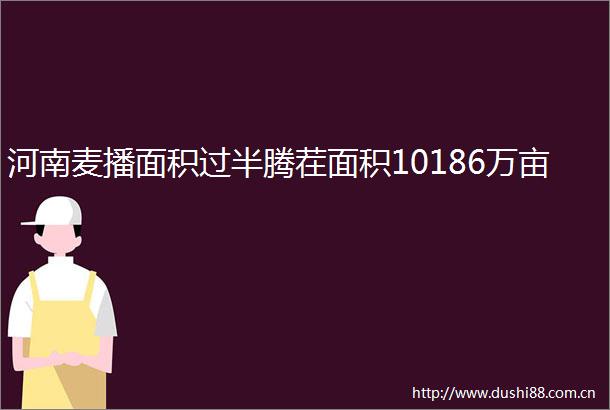 河南麦播面积过半腾茬面积10186万亩