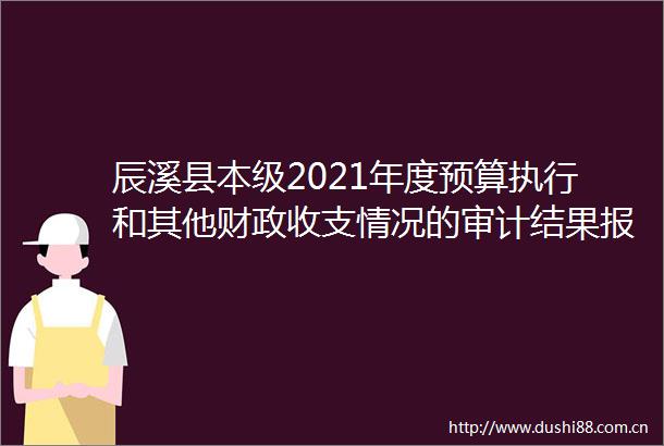 辰溪县本级2021年度预算执行和其他财政收支情况的审计结果报告