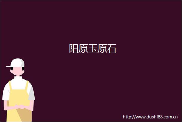阳原玉原石