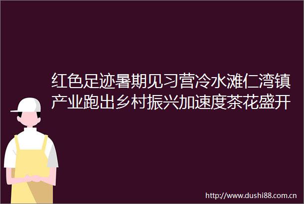 红色足迹暑期见习营冷水滩仁湾镇产业跑出乡村振兴加速度茶花盛开拓宽致富路